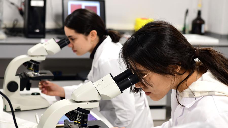 Imaxe de arquivo dunha clase práctica da USC. FOTO: Santi Alvite