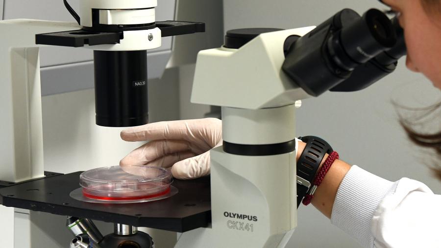 O Congreso desenvolverase entre o 14 e o 16 de outubro na Escola Politécnica Superior de Enxeñaría. Foto: Santi Alvite