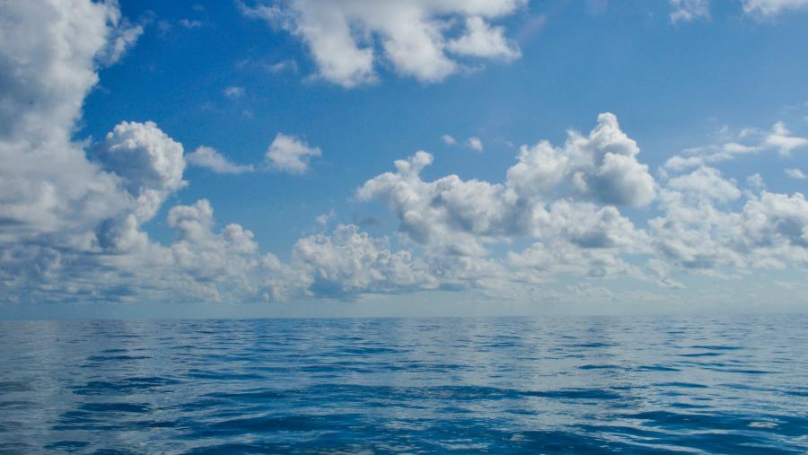 O obxectivo do proxecto é estudar os ecosistemas do Atlántico. Foto: Alicedaraujo