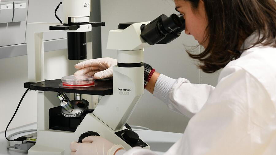 Microscopio nun laboratorio de investigación da USC. FOTO: Santi Alvite