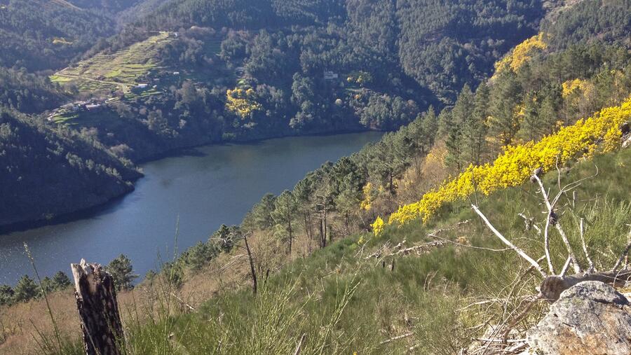 O concurso formula diversas categorías para presentar proxectos ou ideas