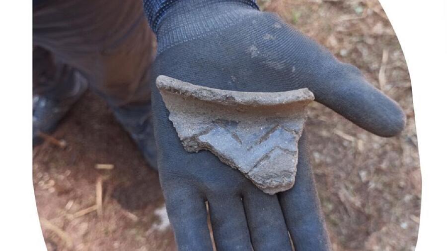 Paza atopada no xacemento