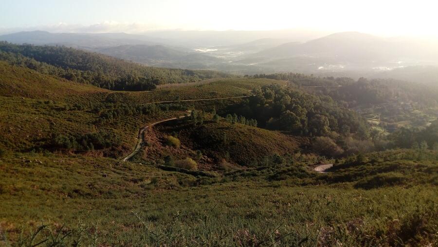 O estudo aborda, utilizando o marco dos sistemas socio-ecolóxicos, as mudanzas derivadas da forestación imposta por parte da Administración pública