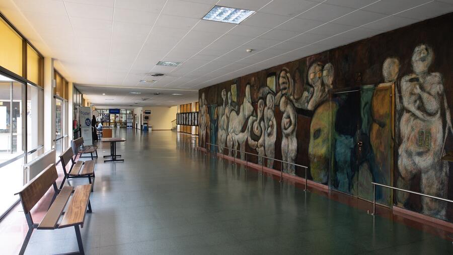 Nas visitas pode participar calquera persoa interesada