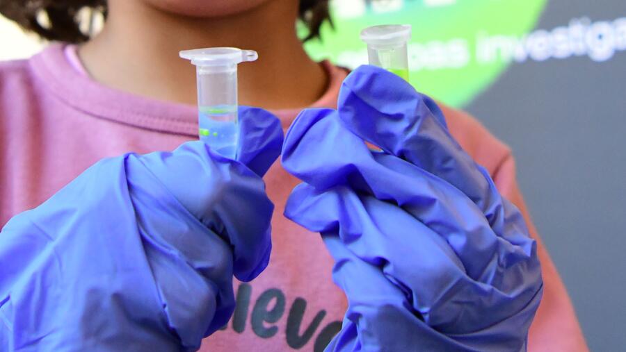 Na feira haberá experimentos dos centros universitarios de investigación para rapazada e visitantes. Foto: Santi Alvite