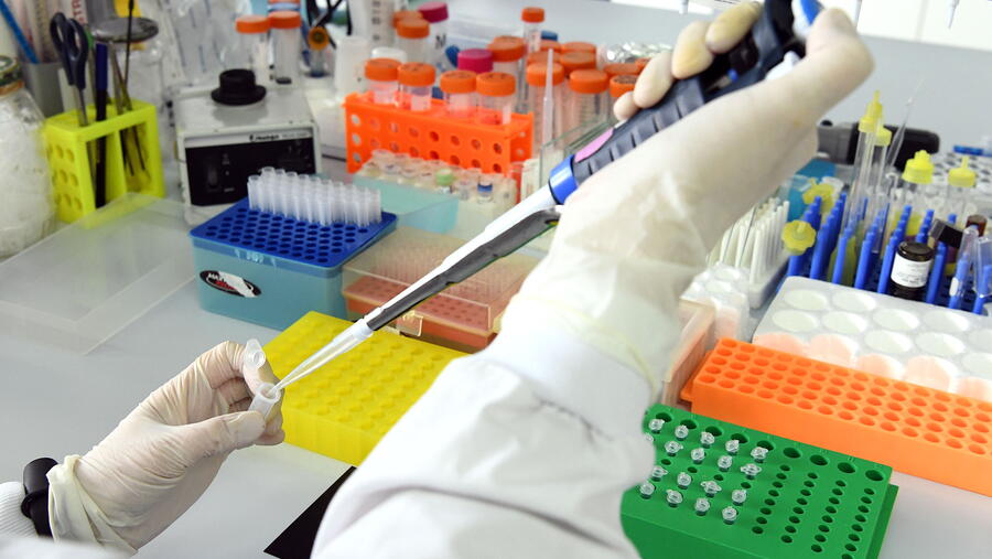 Varios proxectos premiados traballan campo da medicina e da biofarmacia. Foto: Santi Alvite