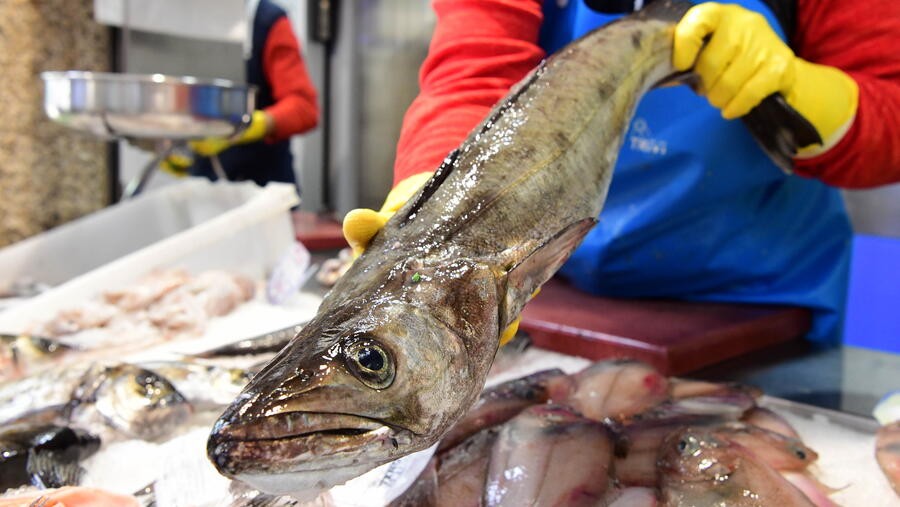 A pescada é un dos recursos mariños máis importantes en España e en gran parte de Europa. FOTO: Santi Alvite