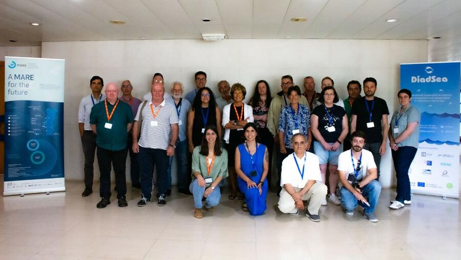 O Observatorio vén de constituirse nunha xuntanza celebrada en Lisboa