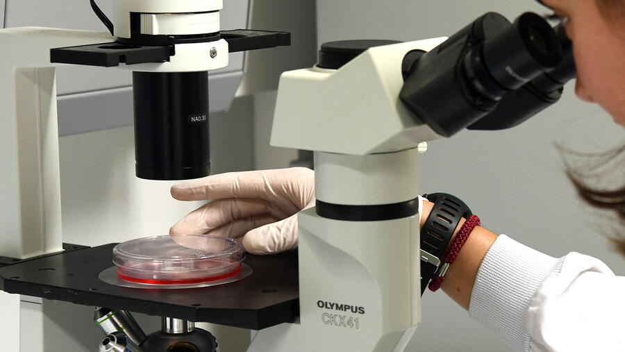 Imaxe de arquivo dun laboratorio da USC. FOTO: Santi Alvite