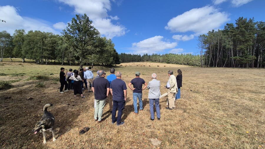 A Rede porá en marcha un observatorio interdisciplinario sobre despoboación. FOTO: Santi Alvite