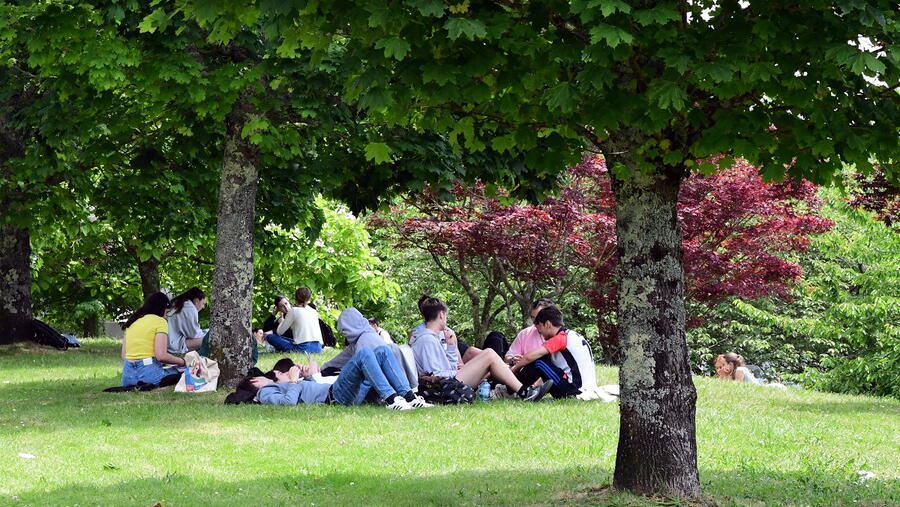 O prazo remata o 3 de outubro. Foto: Santi Alvite