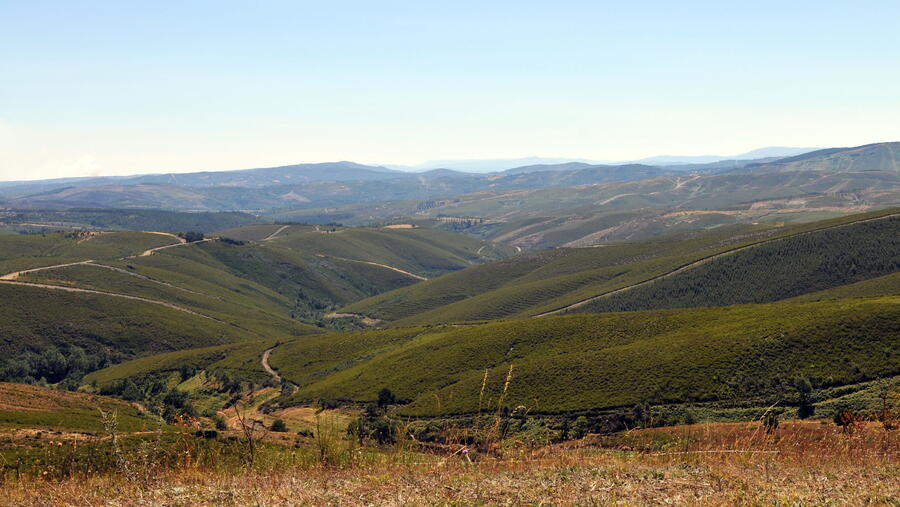 Para concorrer ao certame, é preciso presentar un traballo de investigación e desenvolvemento ou unha iniciativa empresarial innovadora nos ámbitos agrícola ou gandeiro. FOTO: Santi Alvite