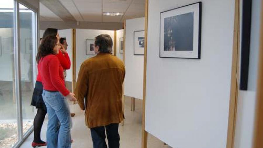 A mostra permanecerá aberta dúas semanas