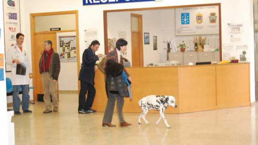 O novo modelo de xestión comezou a funcionar a pasada semana en materia de facturación e busca de historiais