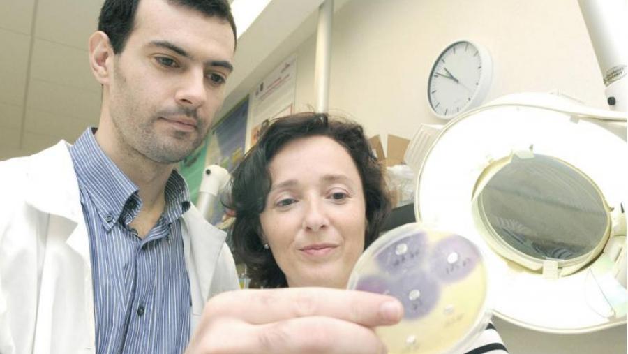 Investigadores da USC avanzan nun mecanismo alternativo aos antibióticos co que tratar infeccións acuícolas