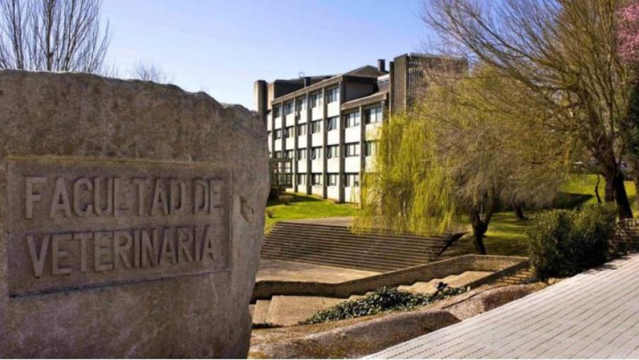 Investigadores da USC están a avaliar os riscos para a saúde humana de toxinas mariñas propias das augas temperadas e tropicais presentes nas costas europeas