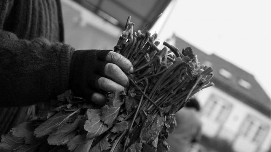 'As mans do traballo', imaxe gañadora na primeira edición do certame