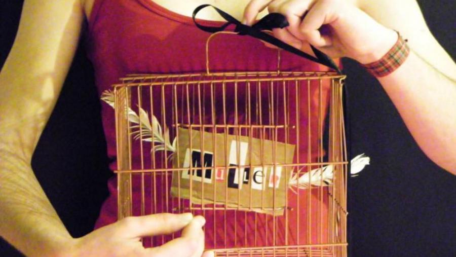 Imaxe premiada na primeira edición do certame, co lema 'Paxaros en gaiolas'