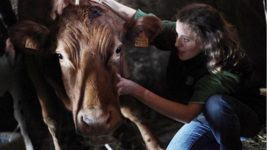 'Vacina', de Marcos Fernández Blanco, é a imaxe gañadora do segundo Certame 'Ruth Matilda Anderson'