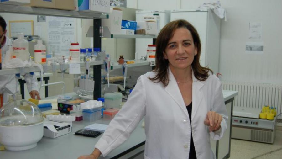 Mª José Alonso é responsable dun equipo de investigación pioneiro en España no ámbito da nanotecnoloxía aplicada ao desenvolvemento de nanomedicas