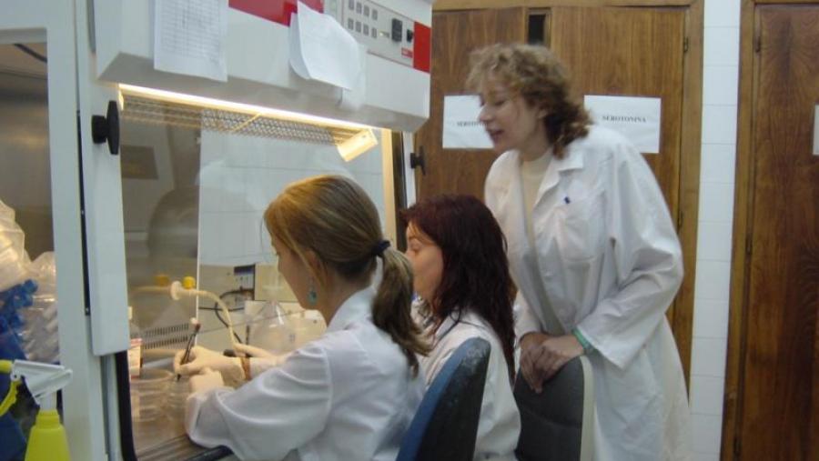 Woman Emprende anima a crear unha rede de traballo entre mulleres de diferentes ámbitos profesionais