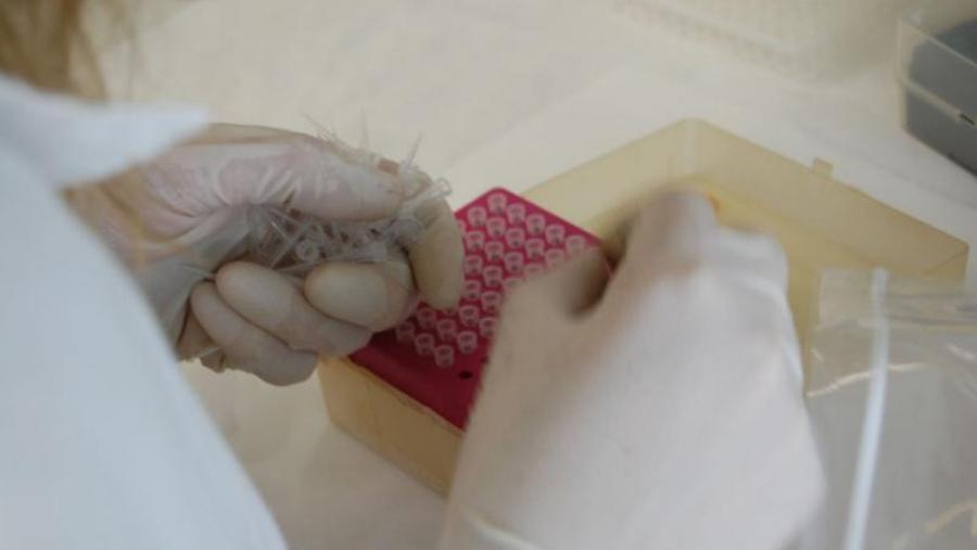 Un alto grao de innovación e a posibilidade de xerar emprego altamente cualificado son o denominador común das empresas creadas