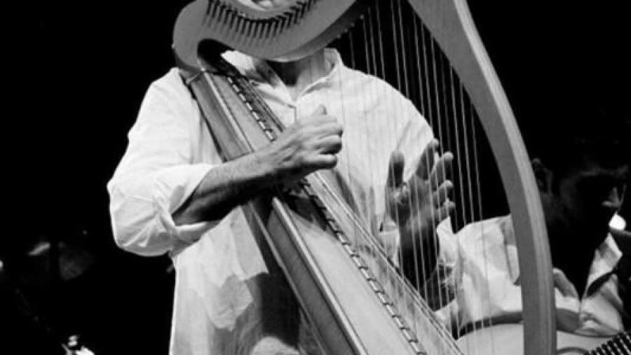 Rodrigo Romaní coa súa arpa