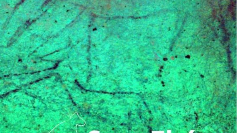 Preséntase en Historia o libro Cova Eirós. Primeras evidencias de arte rupestre Paleolítico en el Noroeste Peninsular