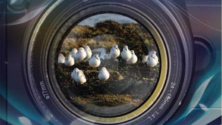Un curso mostrará as particularidades da fotografía da natureza