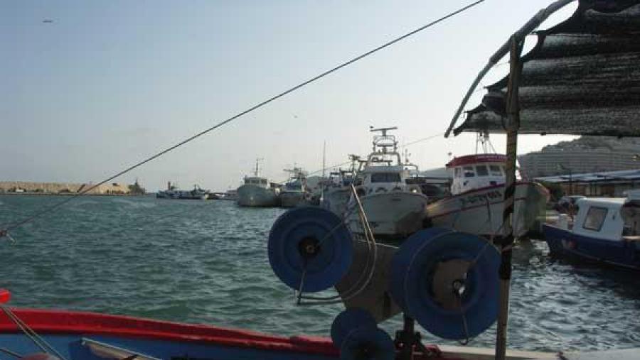 Investigadores das Universidades de Santiago e Vigo achegan recomendacións de política pública para mellorar a xestión dos servizos ecosistémicos mariños