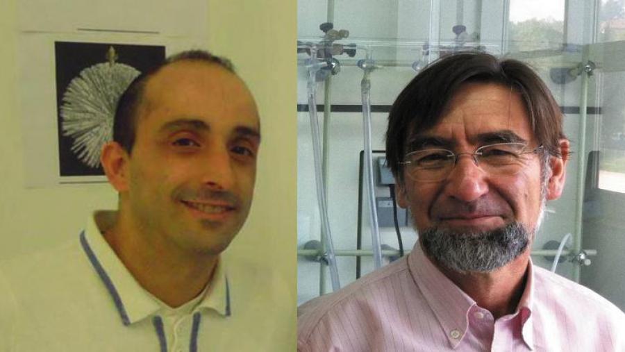 Manuel Martín e Ricardo Riguera, Premio de Investigación 2013 da Real Academia Galega de Ciencias