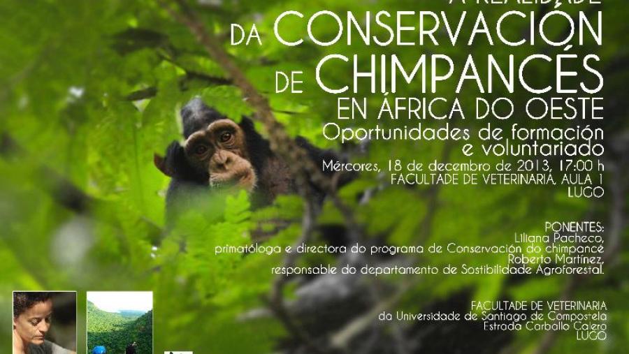 Cartaz anunciador do relatorio