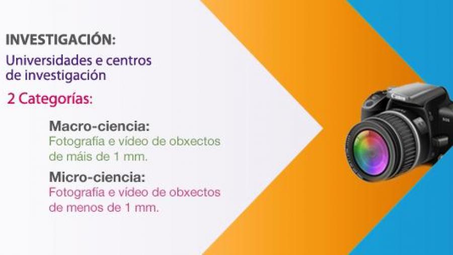 InvestigArte busca na súa segunda edición as mellores imaxes científicas realizadas por investigadores, estudantes e profesorado de Secundaria, Bacharelato ou FP