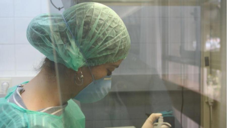 A USC produciu un total de 8.000 documentos científicos entre 2008 e 2012