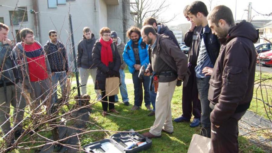 Estudantes, nun obradoiro de enxertado e atado de vides nos arredores da Escola Politécnica