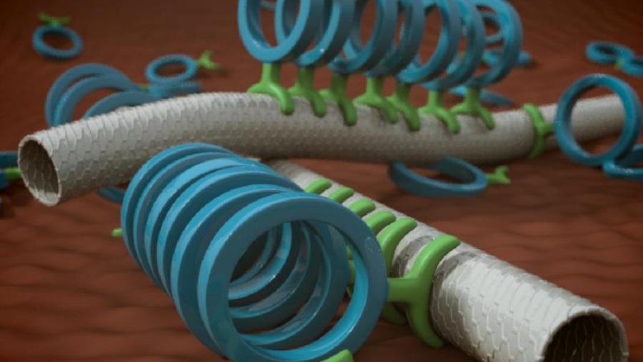 Representación conceptual de nanotubos híbridos peptídico-carbono