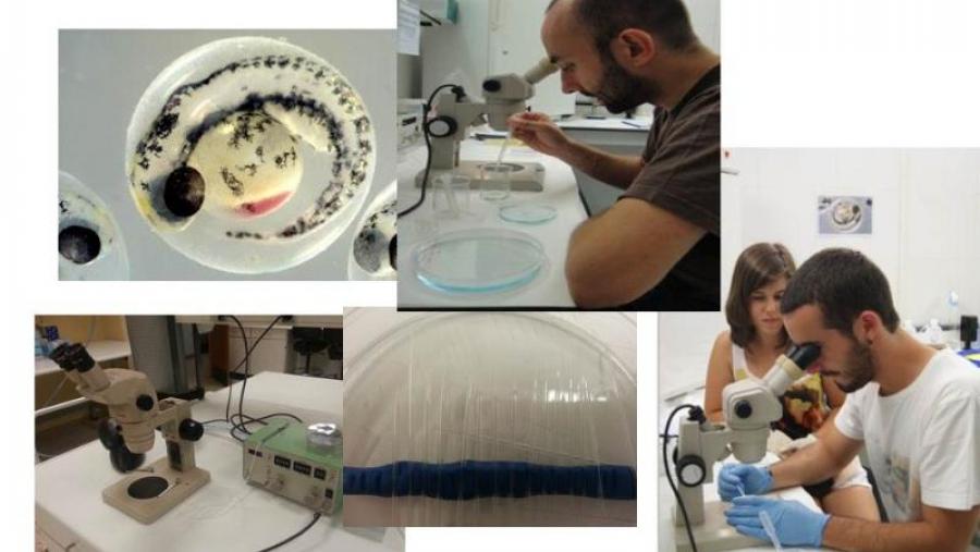 Investigadores e imaxes do proxecto