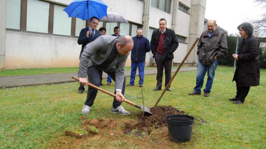 Elia Terzi planta un serbal dos cazadores nun xardín interior da Escola Politécnica Superior
