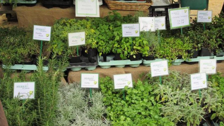 Lusco e Fusco ofrecen, entre outros, produtos da horta