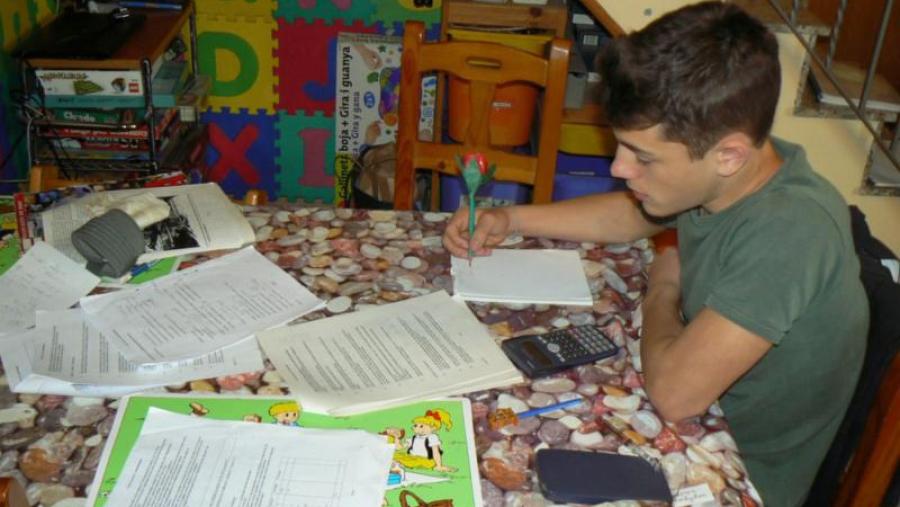 O investimento cultural nas familias redunda nun mellor rendemento escolar