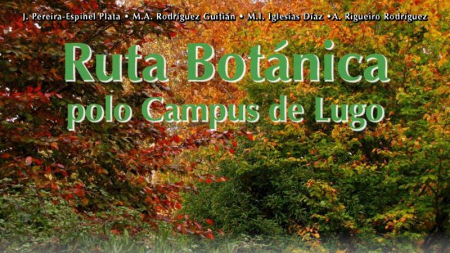 As cidades de Pontevedra e Lugo, protagonistas de dous novos títulos da USC en acceso aberto