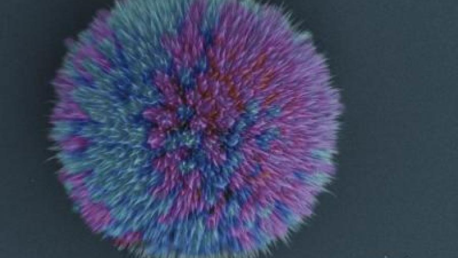 Investigadores do CiQUS da USC deseñan «pompóns moleculares» formados por péptidos que se autoensamblan  