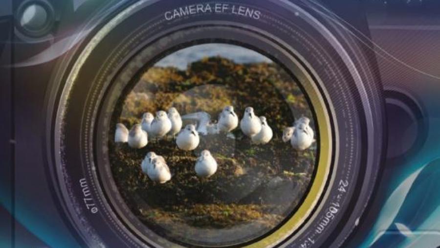 Cartaz anunciador do curso