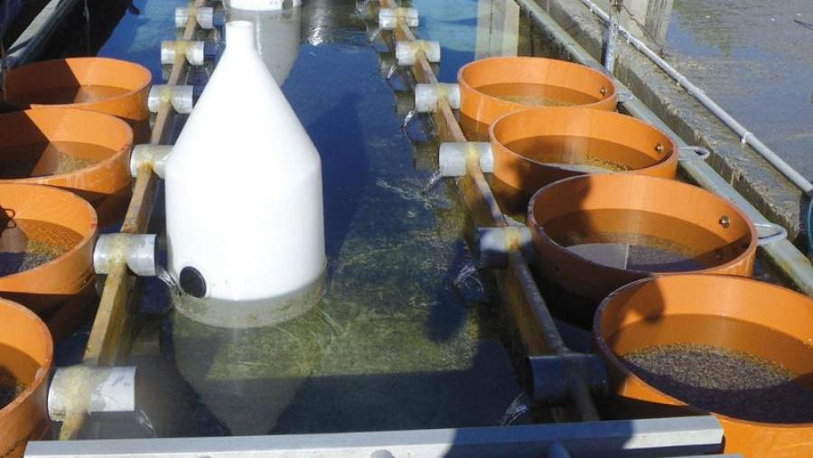 Instalacións de acuicultura