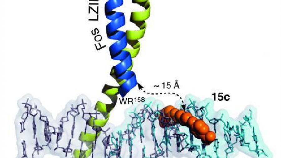 Un novo proceso de autoensamblado deseñado na USC permitirá recoñecer secuencias específicas do ADN