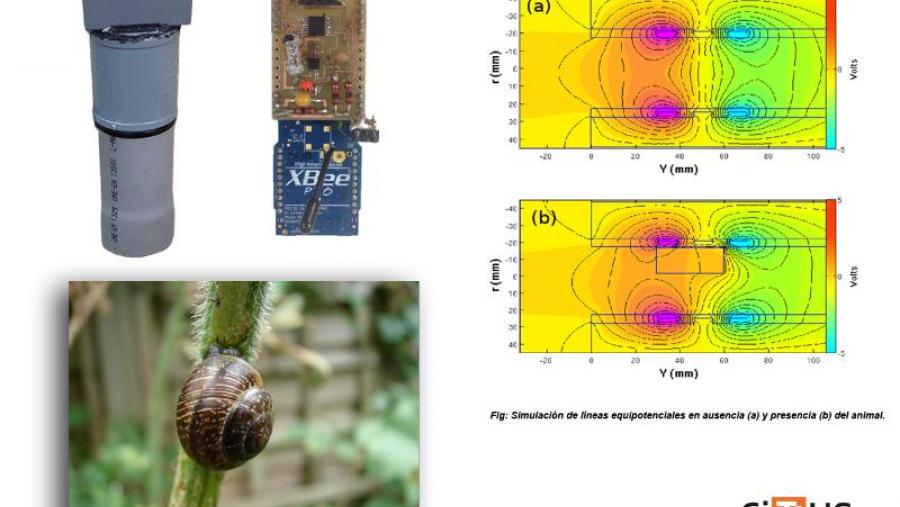 Patentan un novo sistema para previr as pragas de babosas e caracois