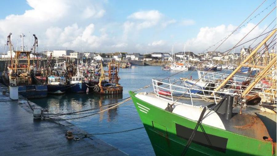 A USC coordina un proxecto que avalía o impacto da prohibición de descartes sobre a pesca artesanal na Unión Europea