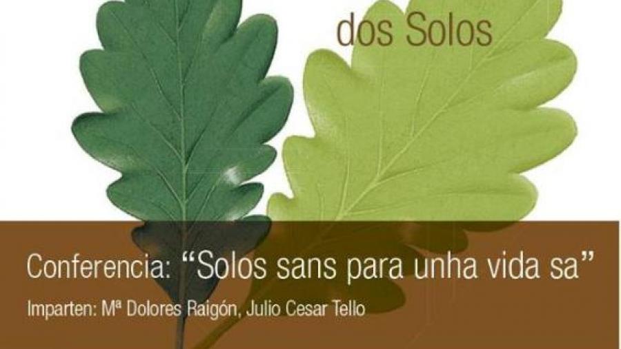 Cartaz do Ano Internacional dos Solos