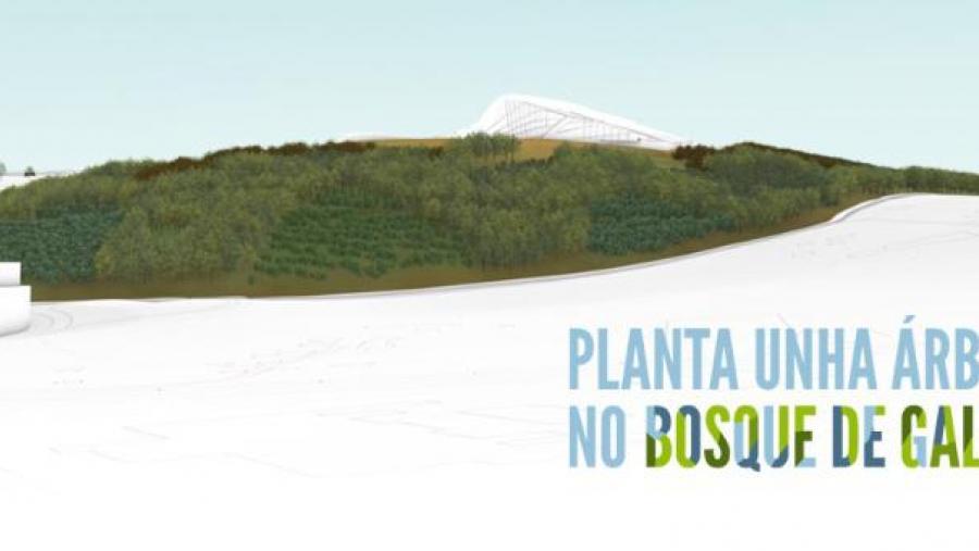 A Fundación USC Deportiva colabora co proxecto ‘Planta unha árbore no Bosque de Galicia’
