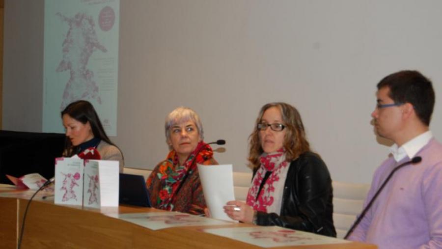 Patiño, Basadre, Silva e Outeiro, na presentación do XI Curso de Primavera da USC